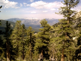 tahoe-rim-trail-02