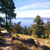 Tahoe Rim Trail Pictures